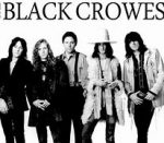black crowes 